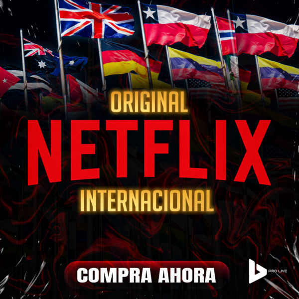 NETFLIX INTERNACIONAL 1 PANTALLA 30 DIAS